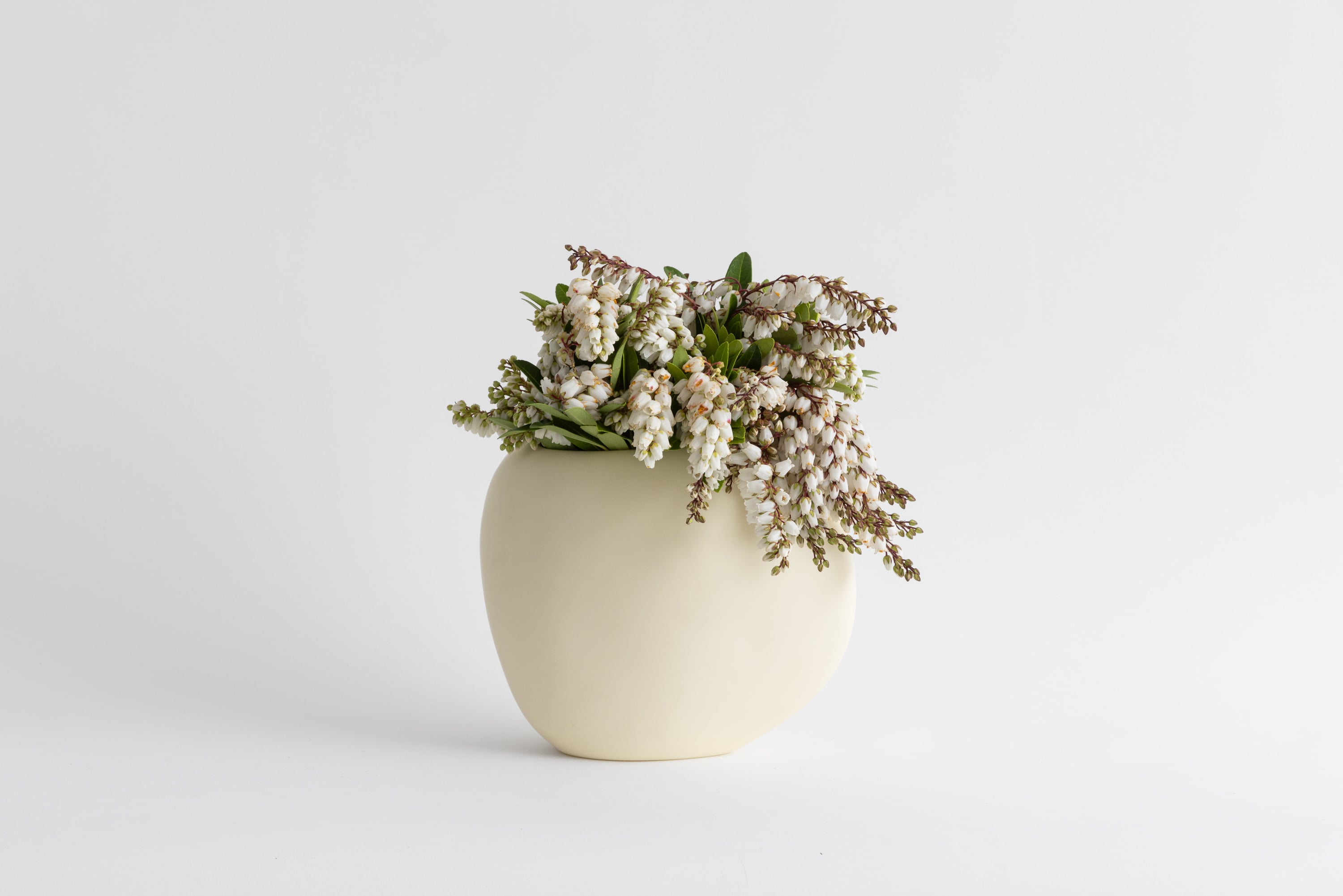 Dinosaur Designs Jardan