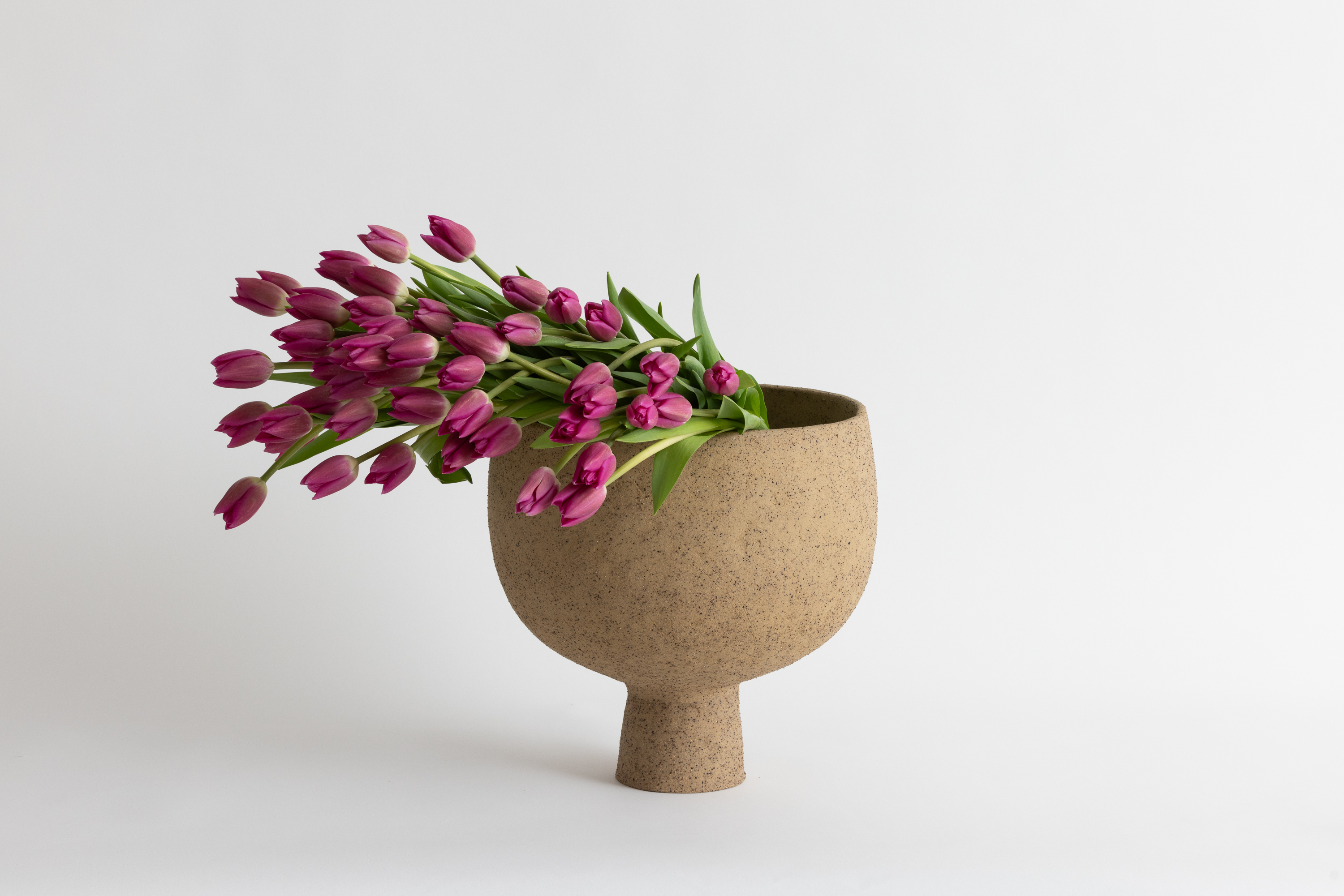 Simone Karras Jardan