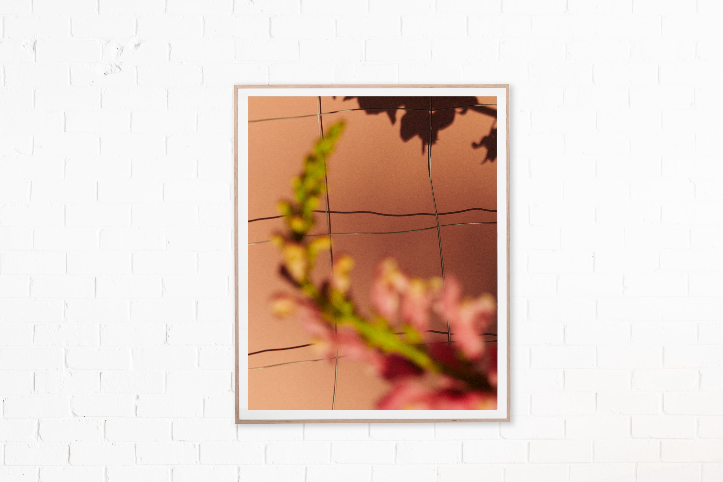 Victoria Zschommler Jardan