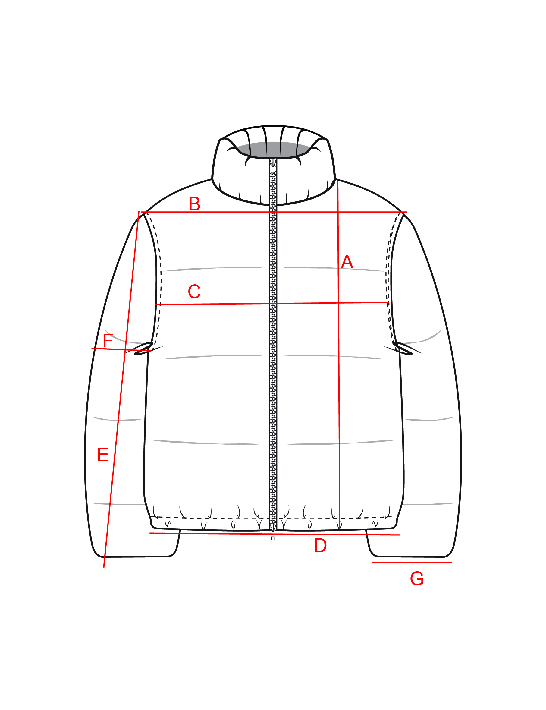 Size chart visual guide