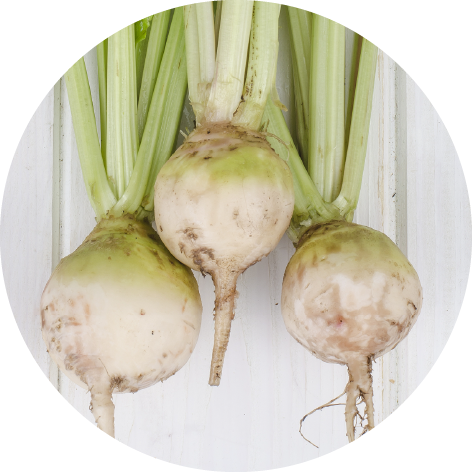 DHA (derived from Sugar Beets)