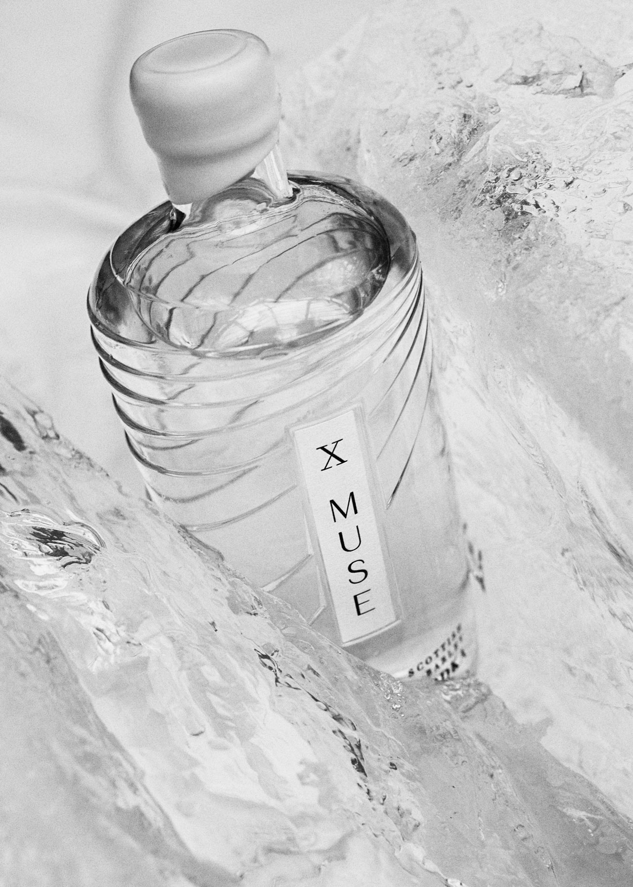 A bottle of tenth muse vodka