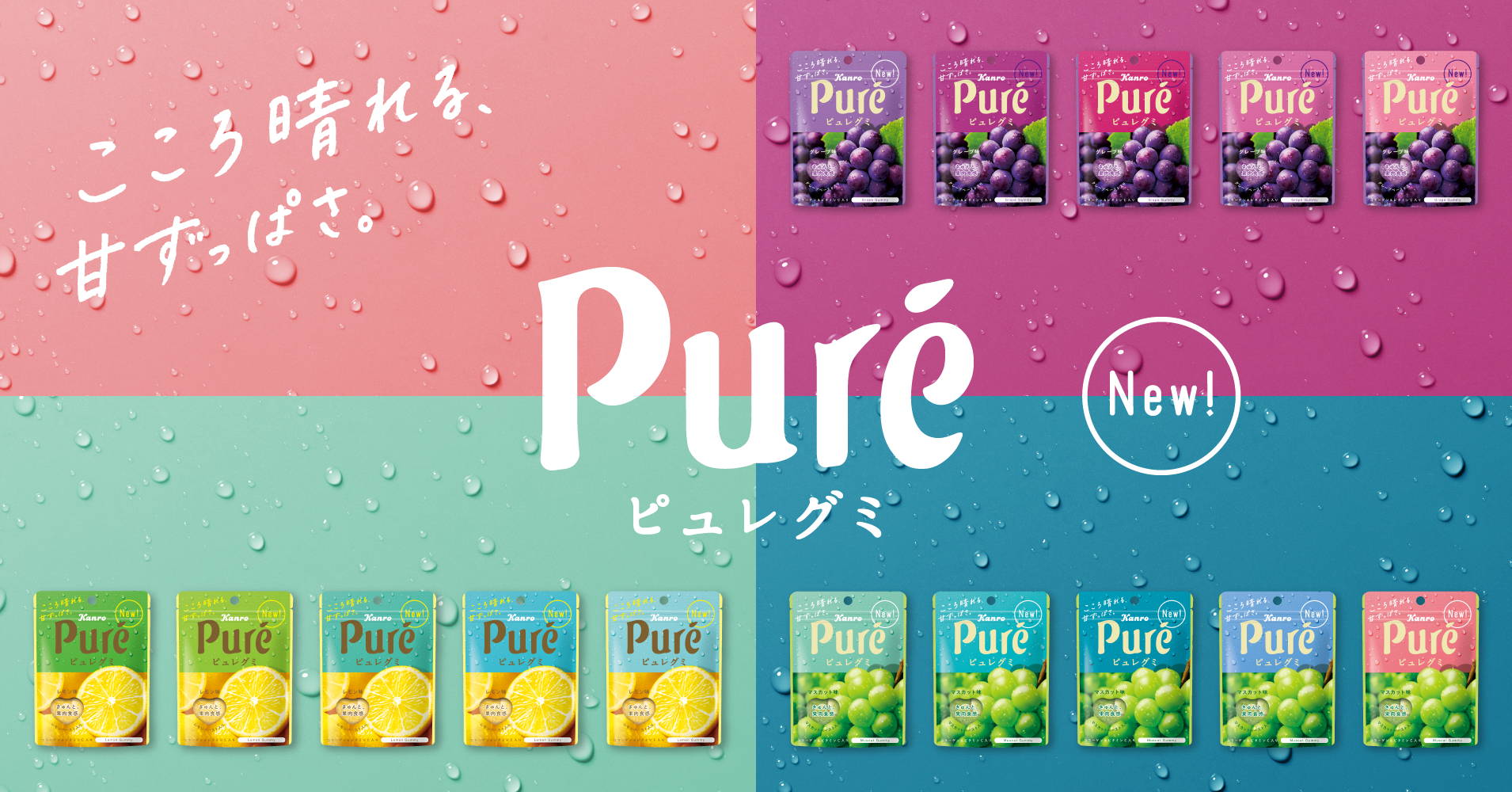ピュレグミ プチ三角グレープ Kanro Pocket ピュレグミ プチ三角グレープ Kanro Pocket