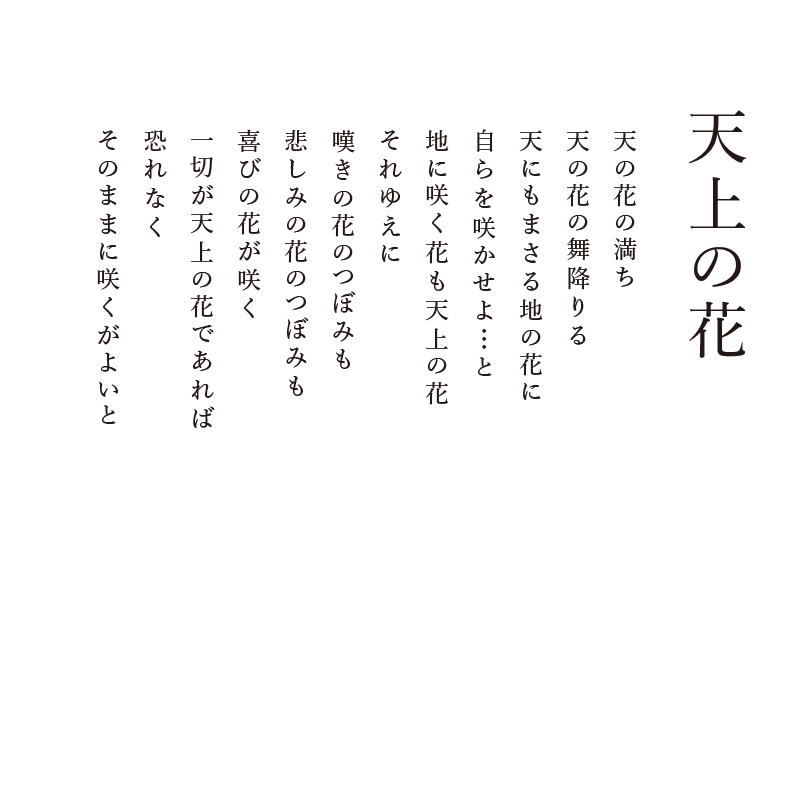 陶彩画_花作品_天上の花_詩