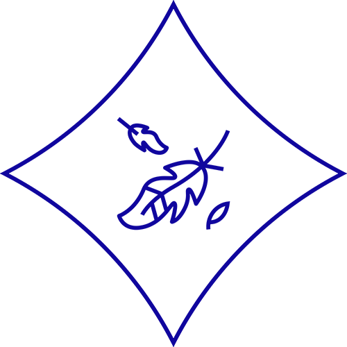 Sanft zu Haut & Umwelt