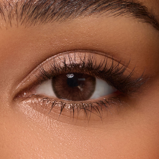 Twilight Brown (1-Day)