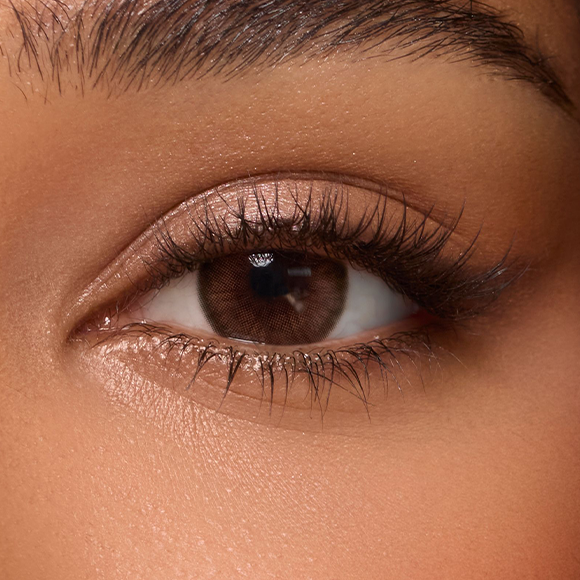 Twilight Brown (1-Day)