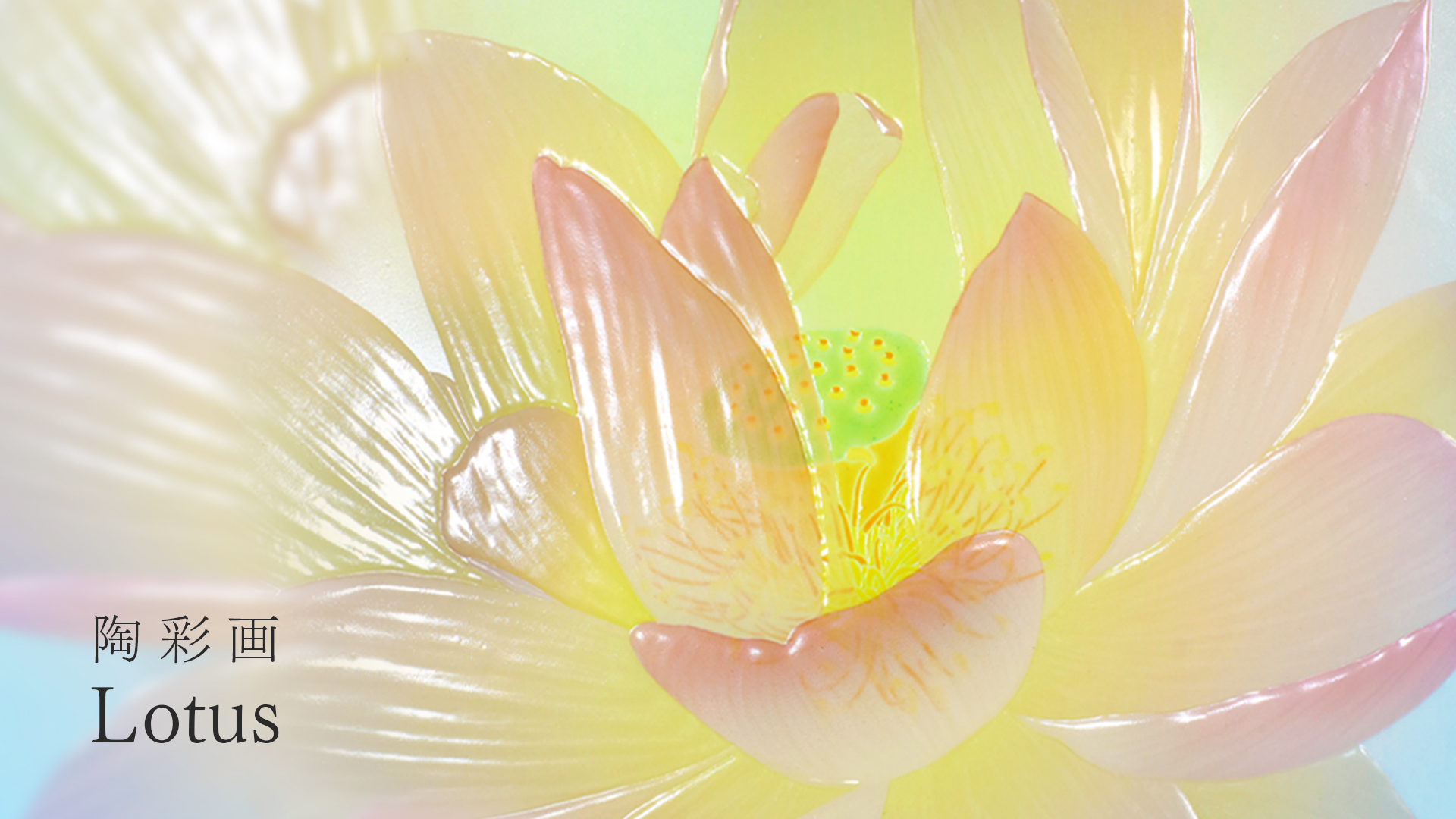 陶彩画 「Lotus」