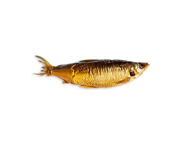 Acme Smoked Fish smoked cisco