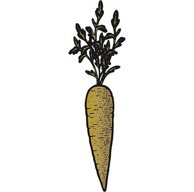 Carrot Extract Ingredient Icon