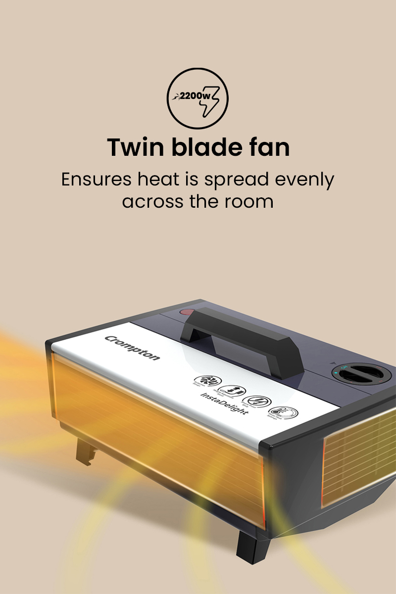 Twin Blade Fan