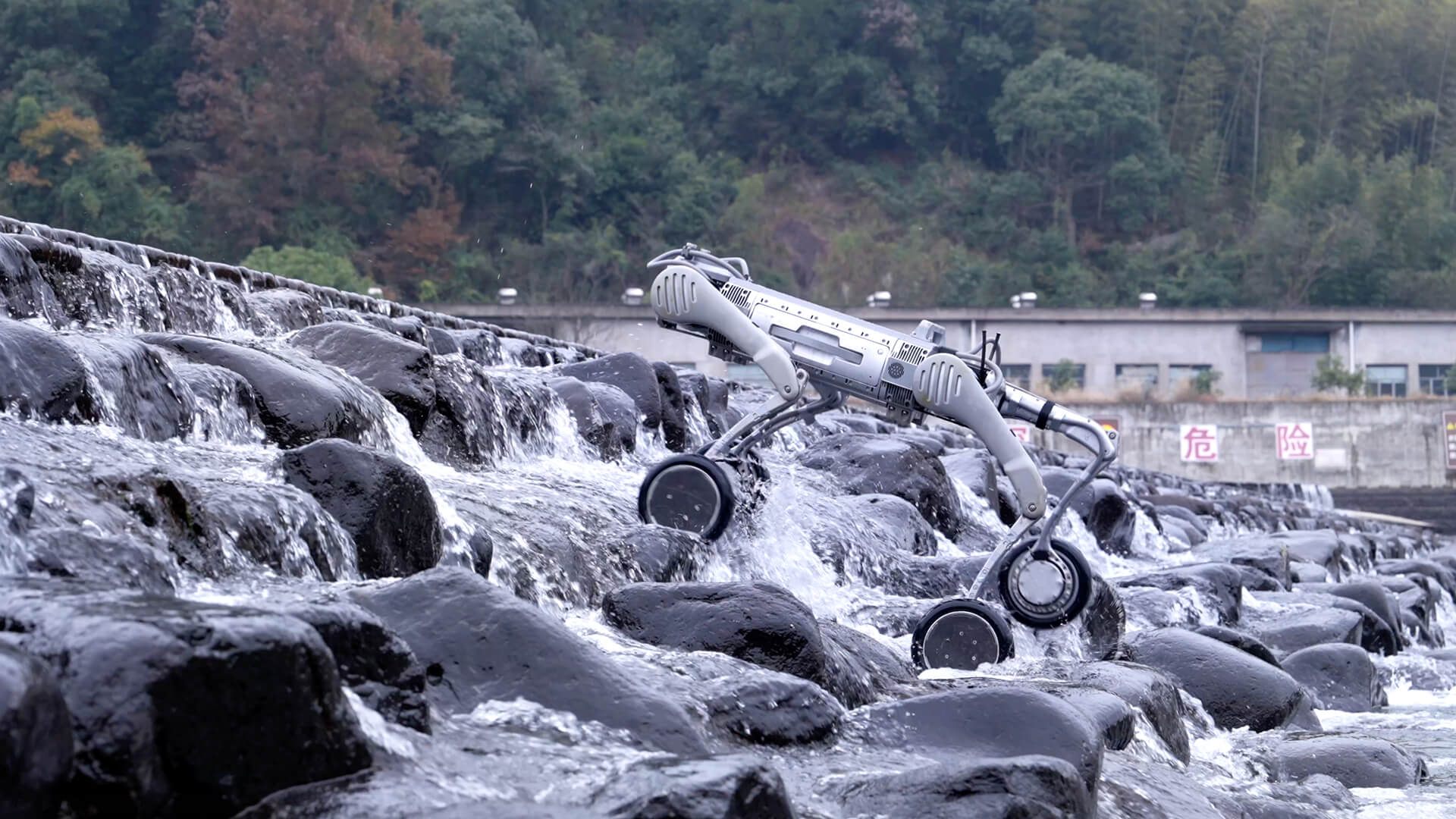 Highly Dynamic Motion