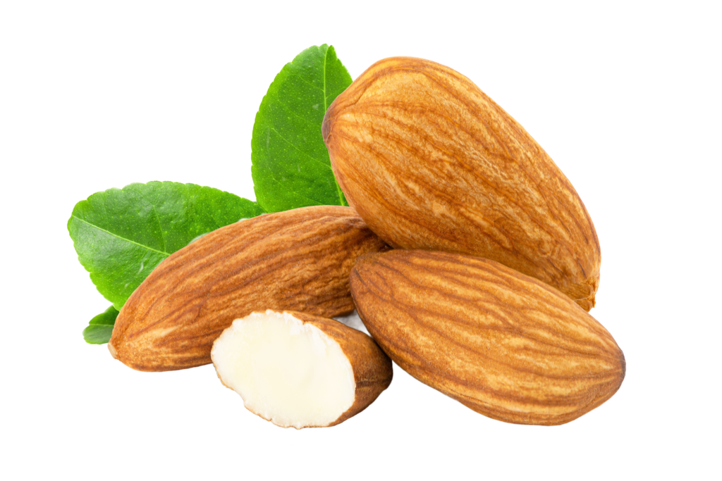 Almond Protein