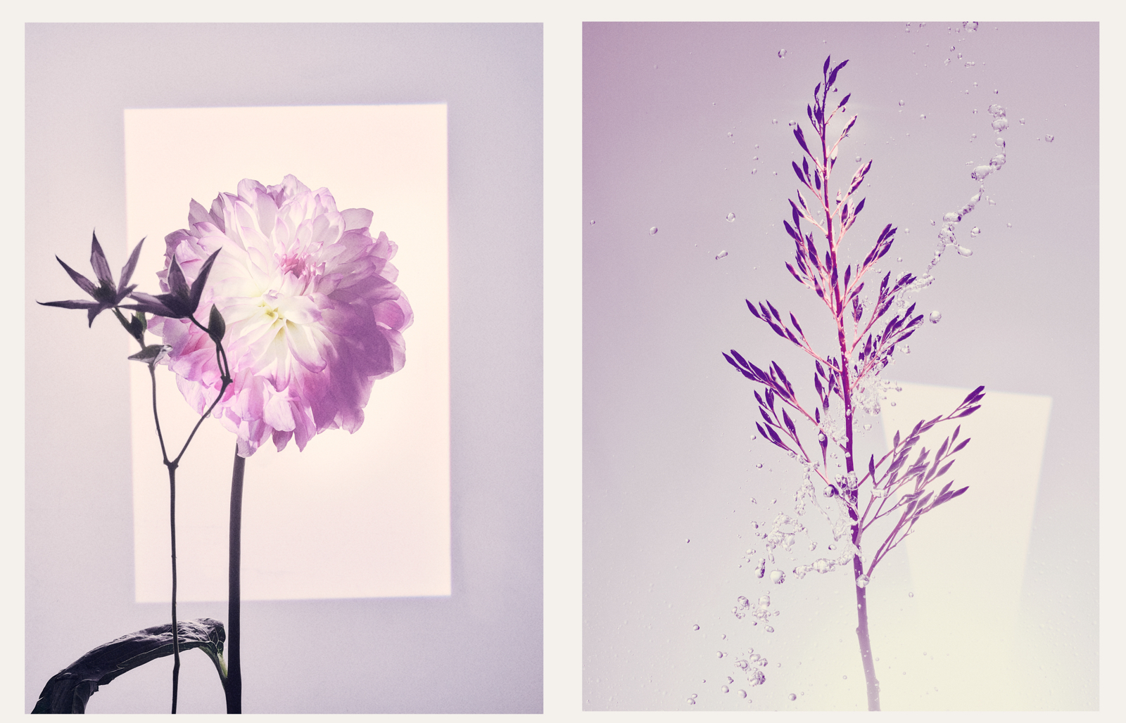 Versatile Lighting Effects