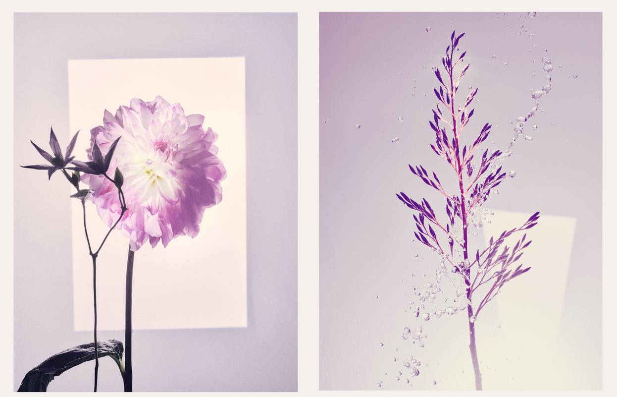 Versatile Lighting Effects