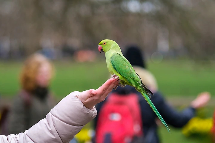 Capture Stunning Detail in Every Shot