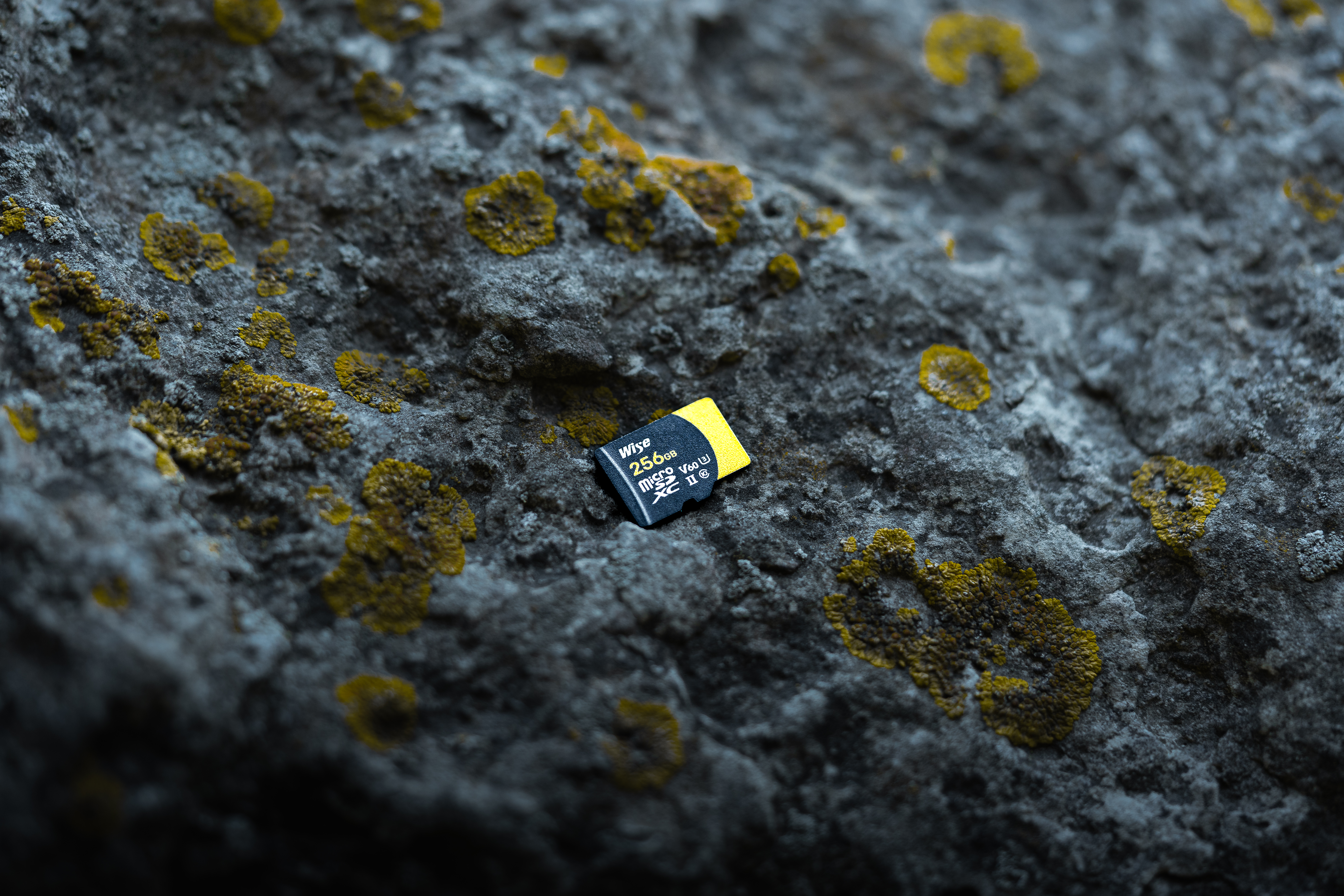 Stress Free 4K and 8K
