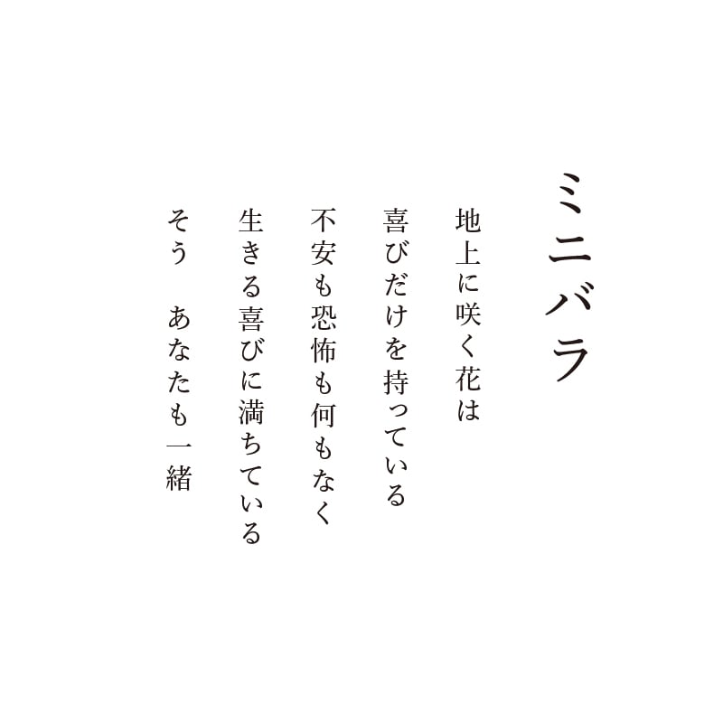 陶彩画_花作品_ミニバラ_詩