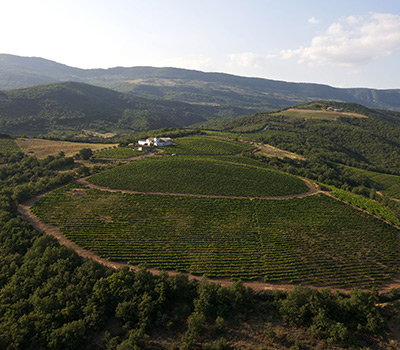 Château La Sauvageonne