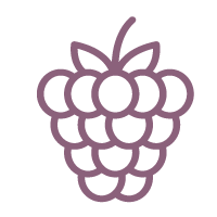 Raspberry