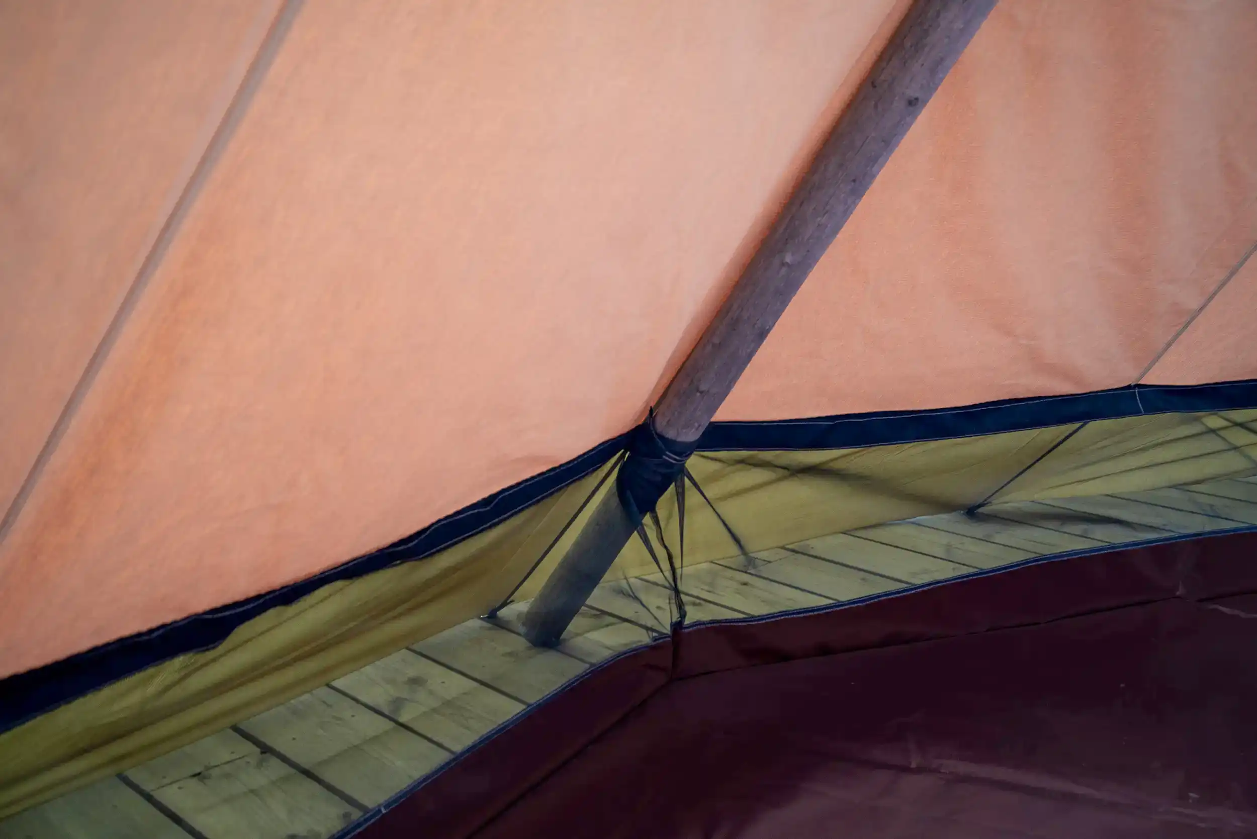 //cdn.accentuate.io/8563676578042/1770362727697/DSC_0237blk.webp?v=1770362727697