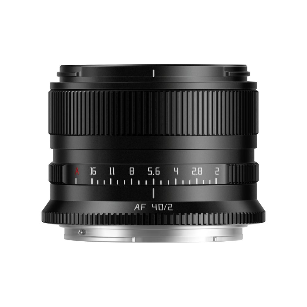 Small Lens Big Character