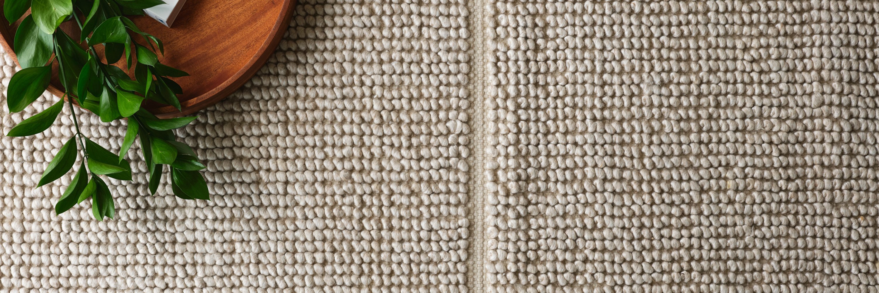 Samir Textured Area Rug in Tan