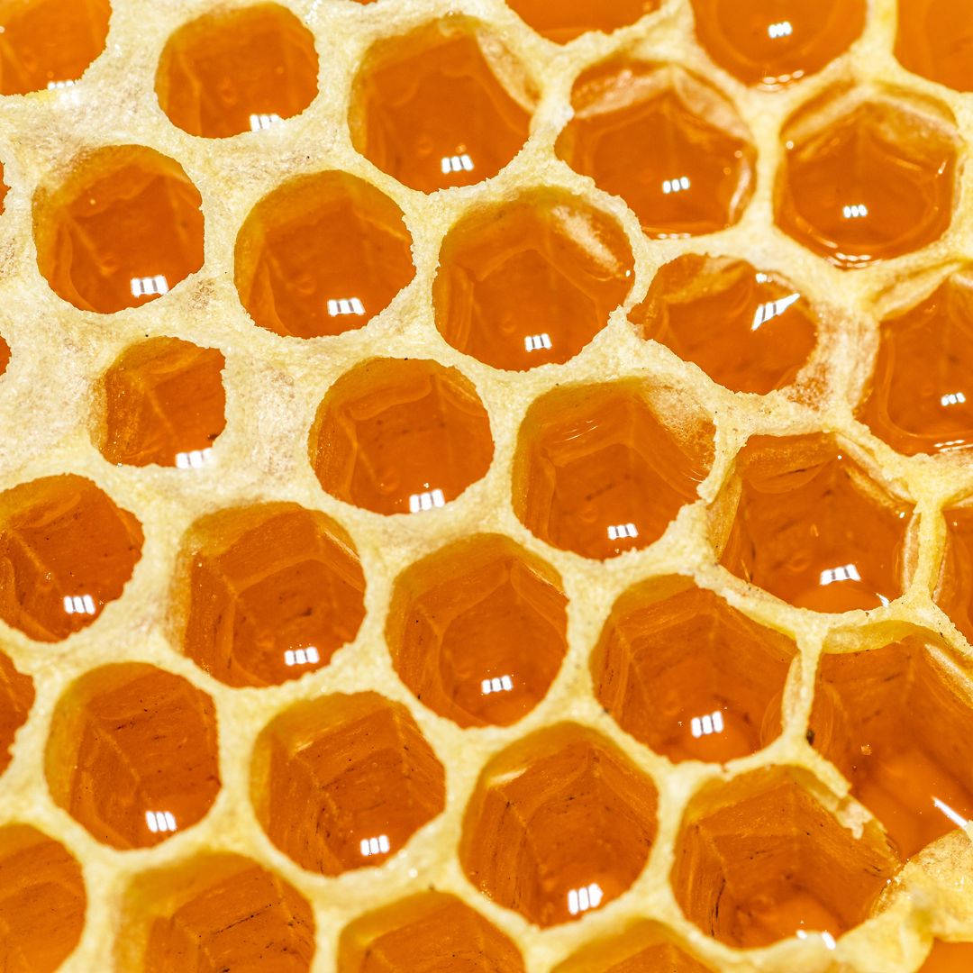 Honey Powder