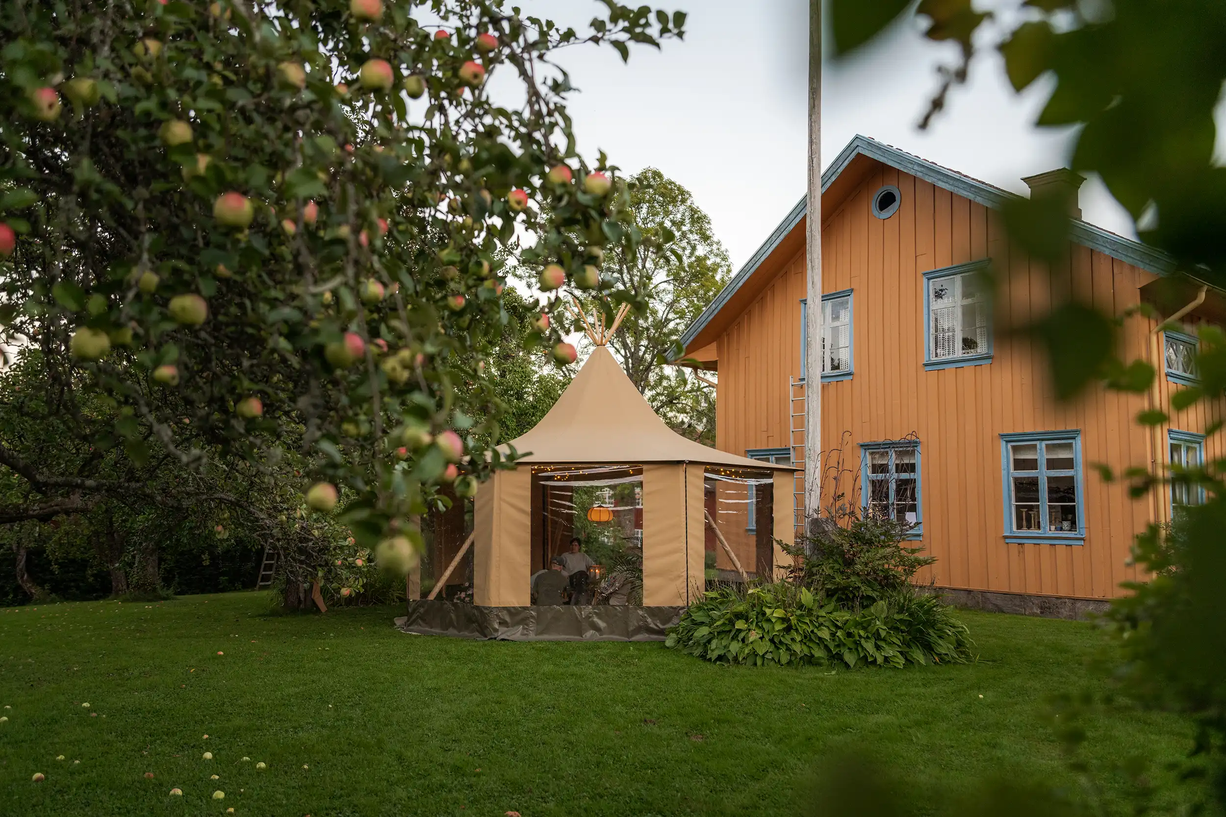 //cdn.accentuate.io/8608047563002/1767874792763/3097_DSC_1326.webp?v=1767874792763