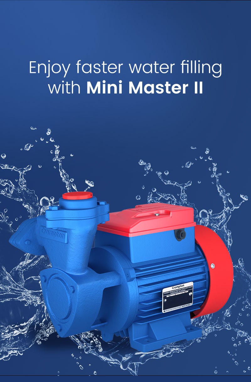 Mini Master II
