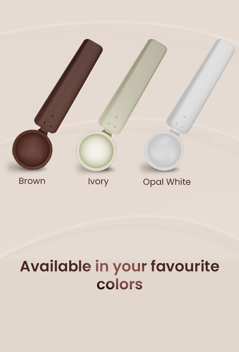 Available in your Favourite Colors