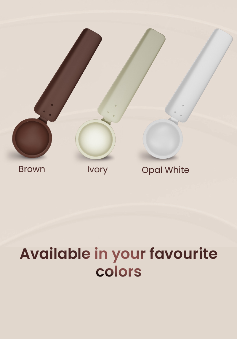 Available in your Favourite Colors