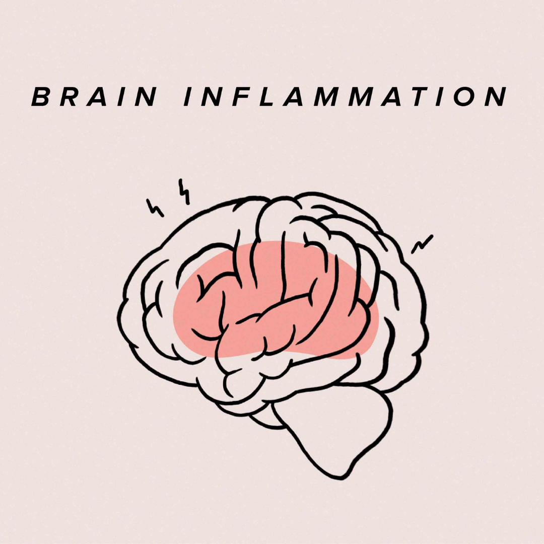 brain inflammation