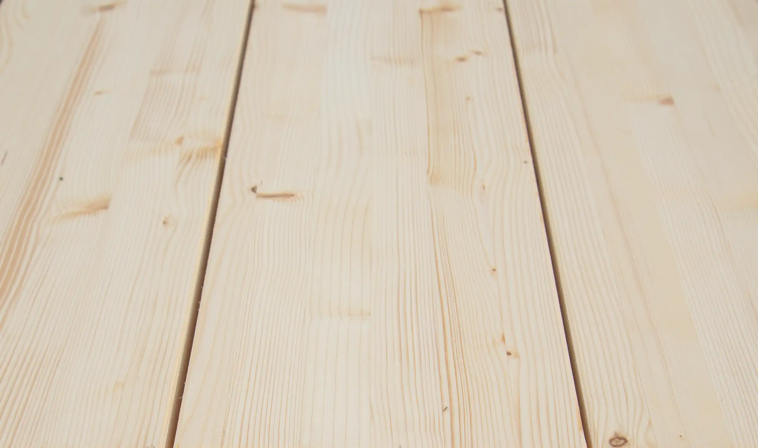 //cdn.accentuate.io/8645878382842/1761044481877/DSC_9970.webp?v=1761044481877