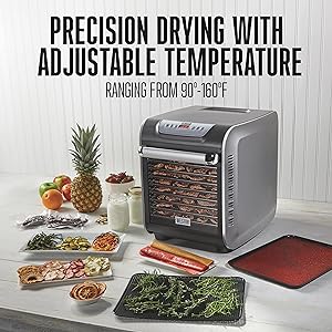 Precision Drying with Adjustable Temperature