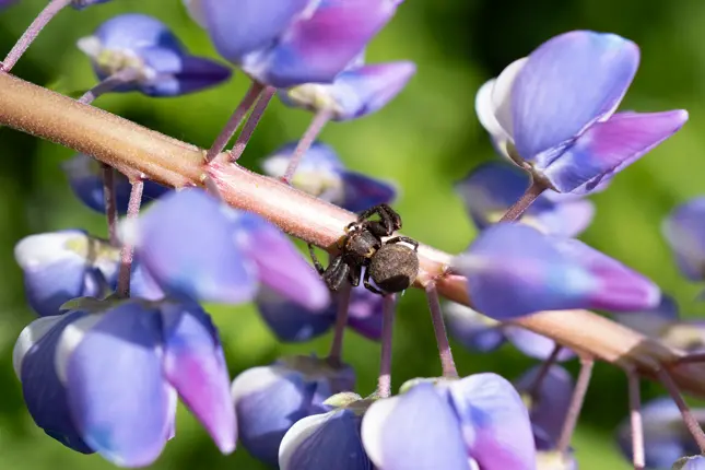 Reveal Hidden Details Beautifully