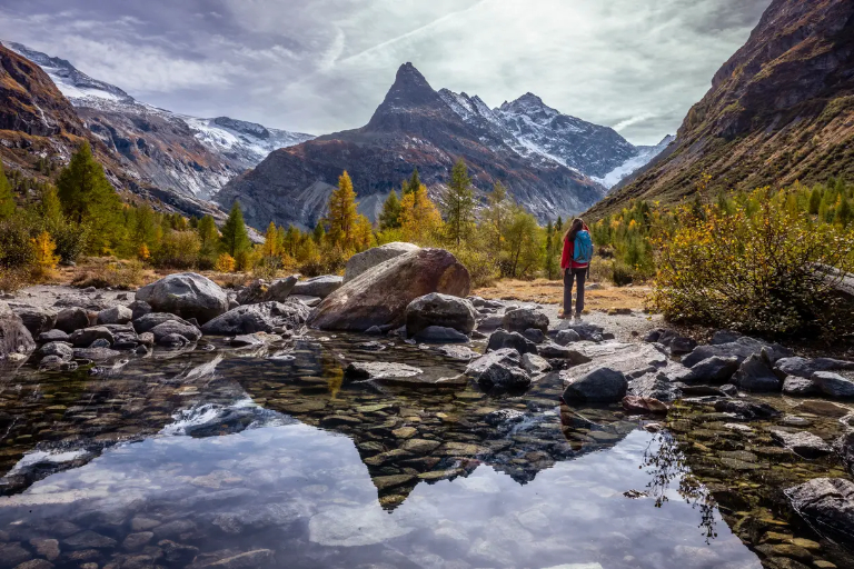 Handles Changing Light with Ease