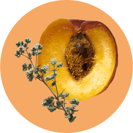 Apricot and Zaatar ingredients layered on an orange circle