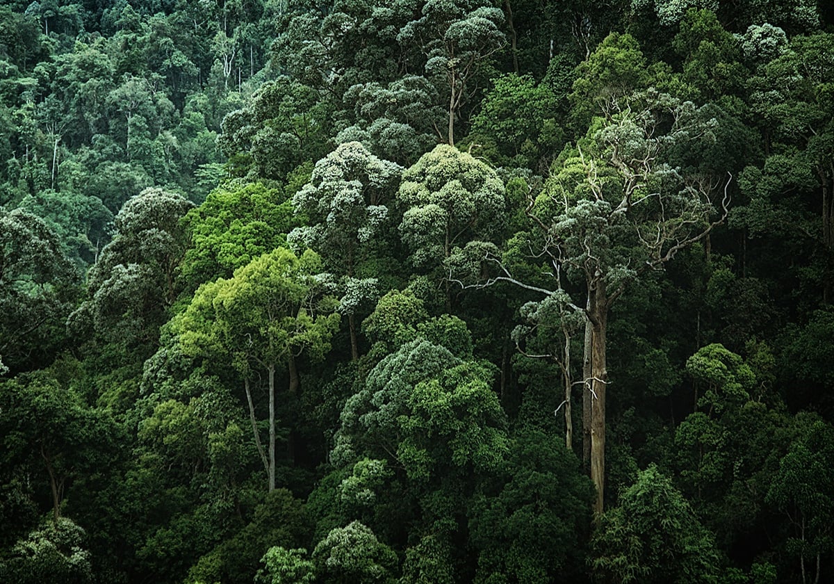 Sustainability commitment