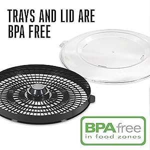 BPA-free trays and lid