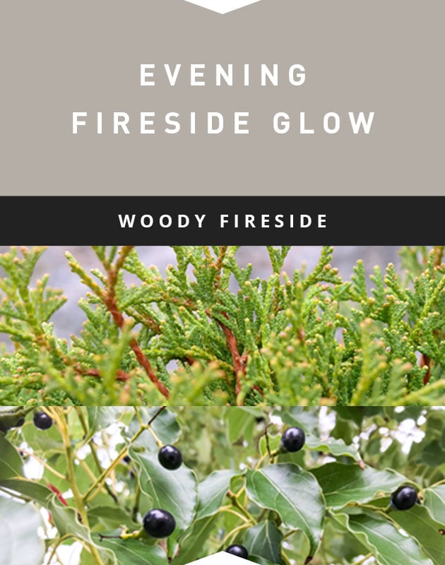 Collage for Evening Fireside Glow 15oz 2-wick Jar Candle