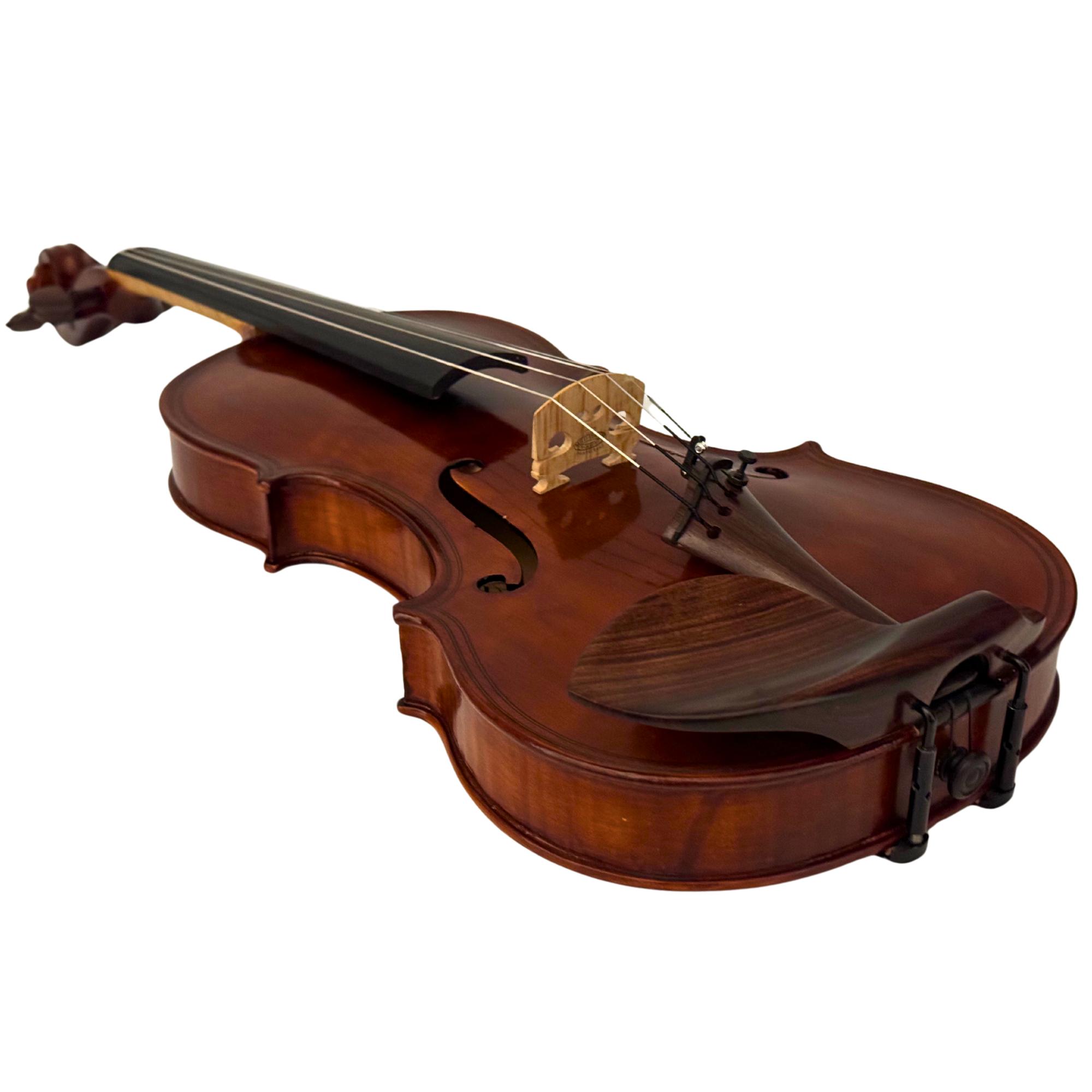 ZS Strings Maggini Model Violin 009 in action