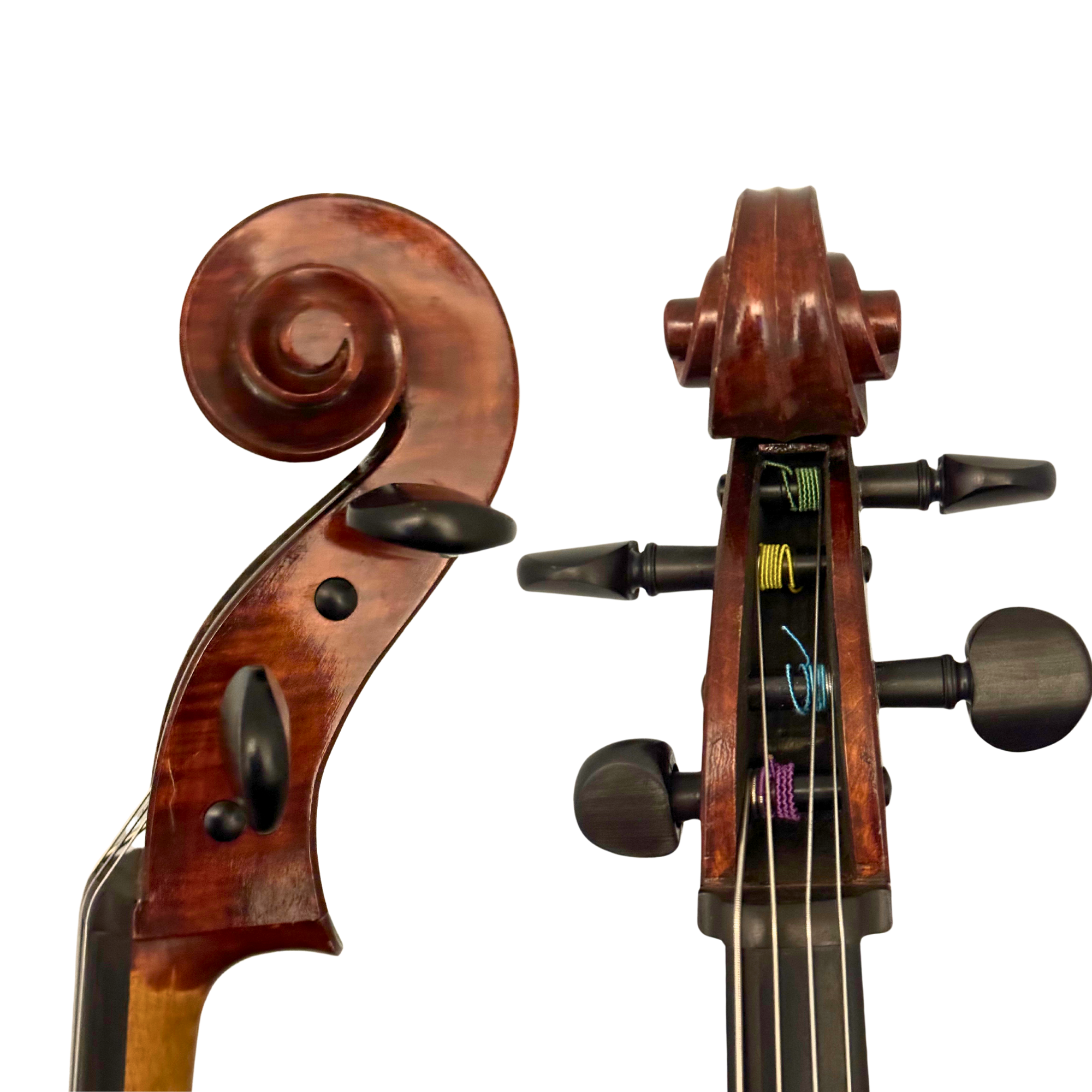 StringWorks Maestro 7/8 Cello in action