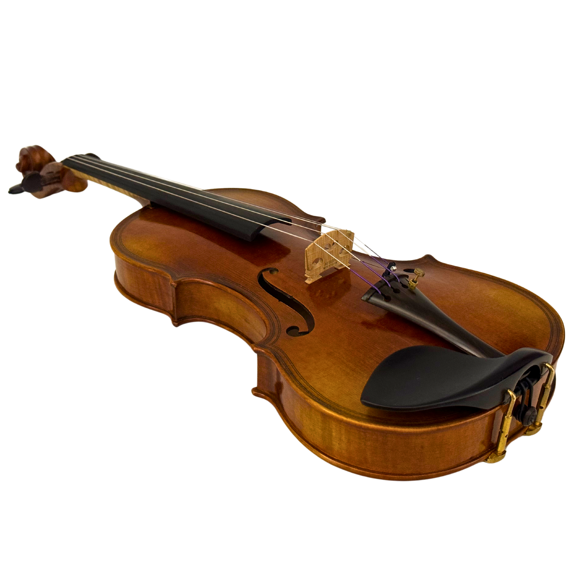 ZS Strings Maggini Model Violin 012 in action