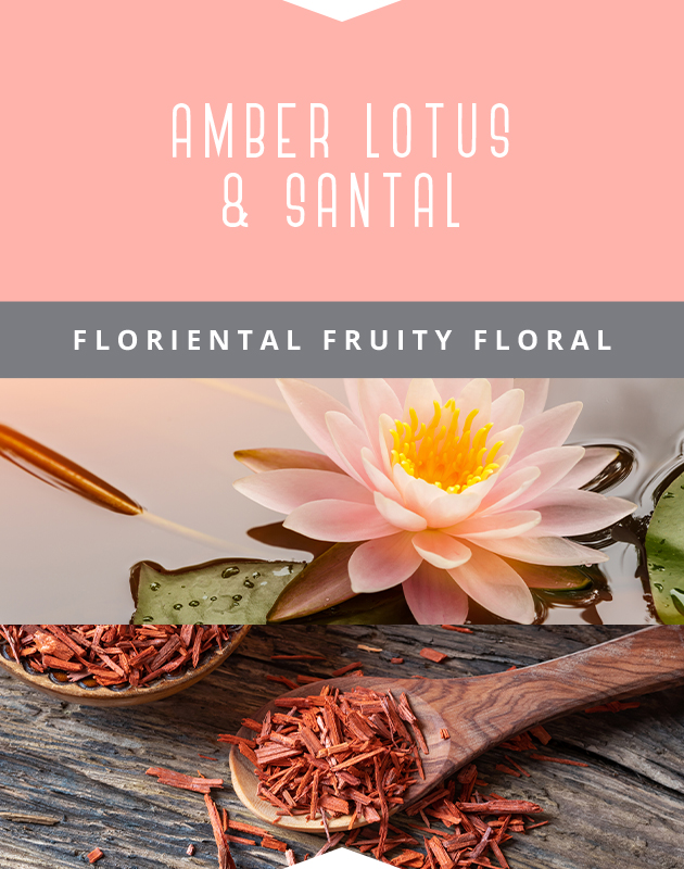 Collage for Amber Lotus & Santal 3-wick 14.75oz Jar Candle