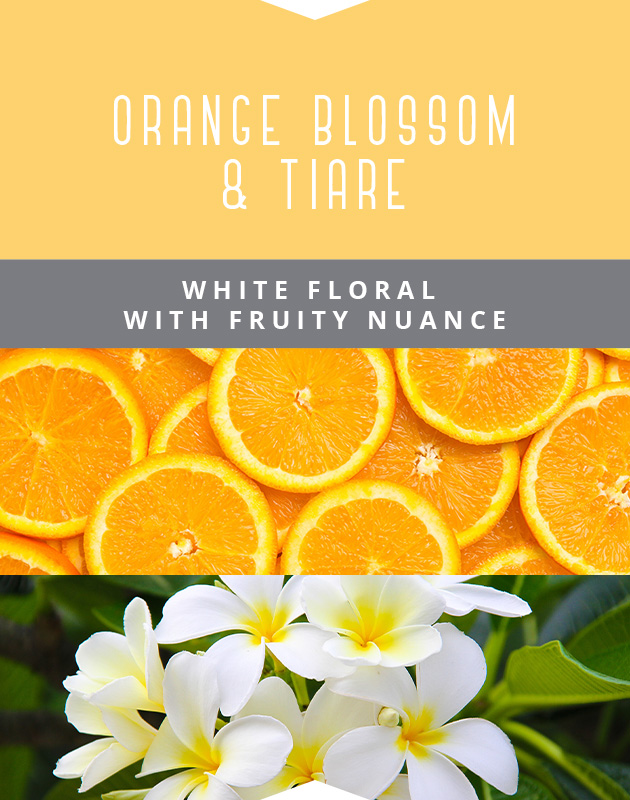Collage for Orange Blossom & Tiare 3-wick 14.75oz Jar Candle