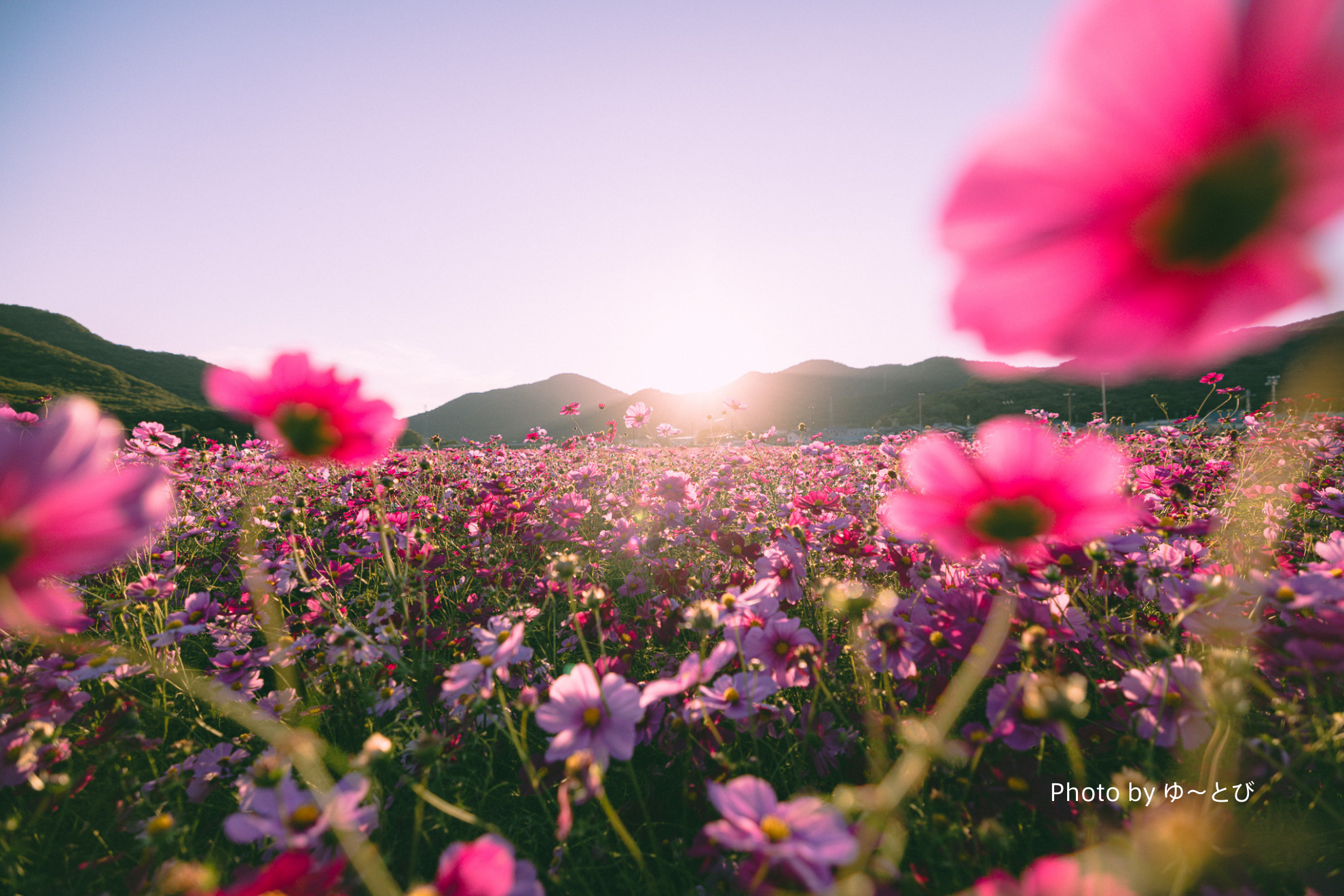 CURBON original Lightroom プリセット 「Filim like preset 2nd