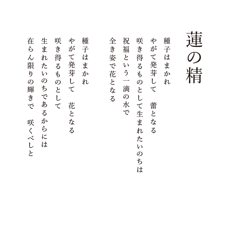新作「蓮」の絵4点 | 洋画家 高田裕子 のブログ
