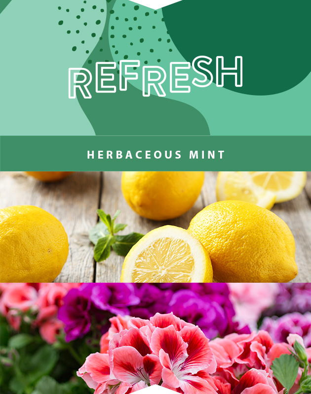 Collage for Refresh 2-wick 15oz Jar Candle