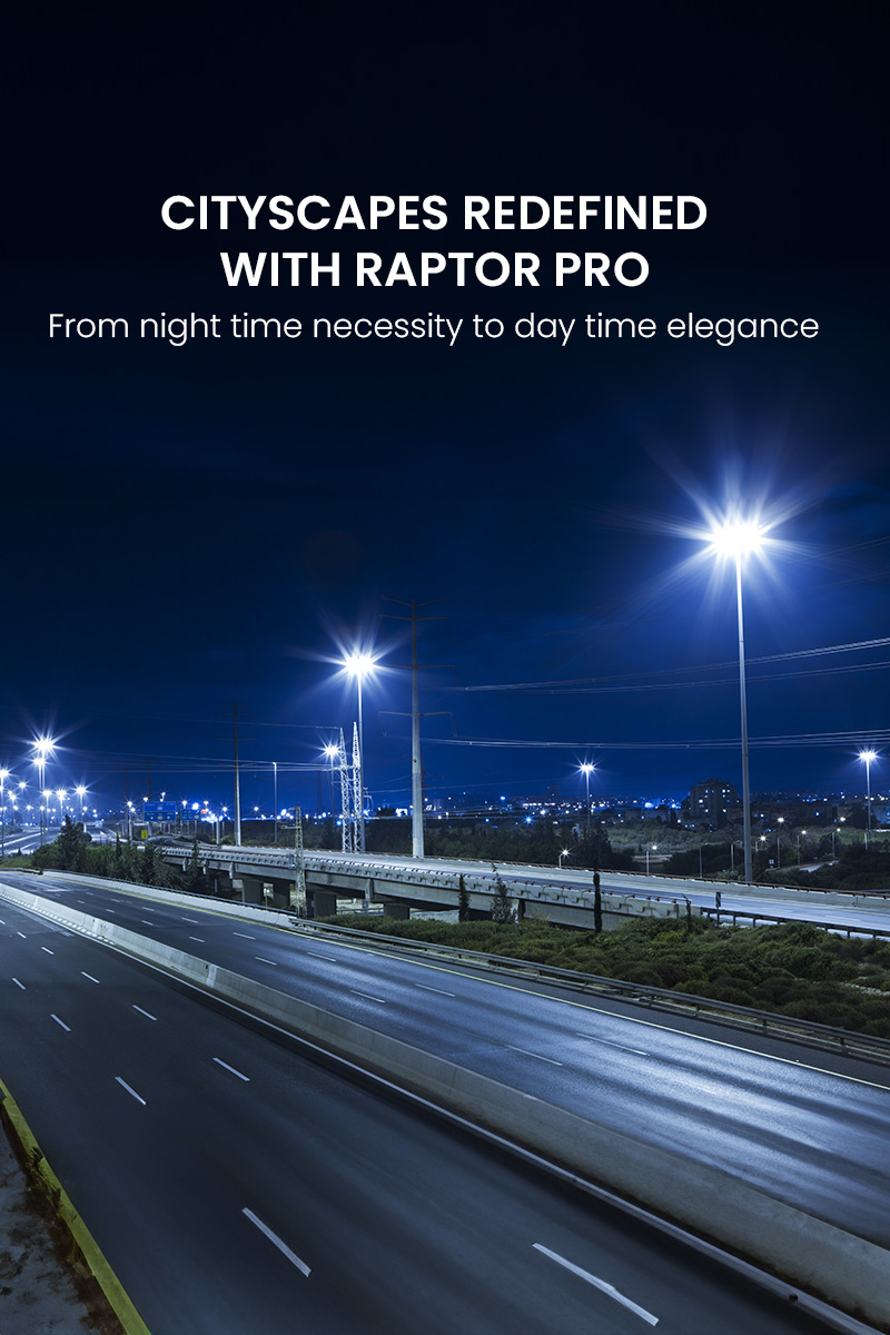 Cityscapes Redefined with Raptor Pro